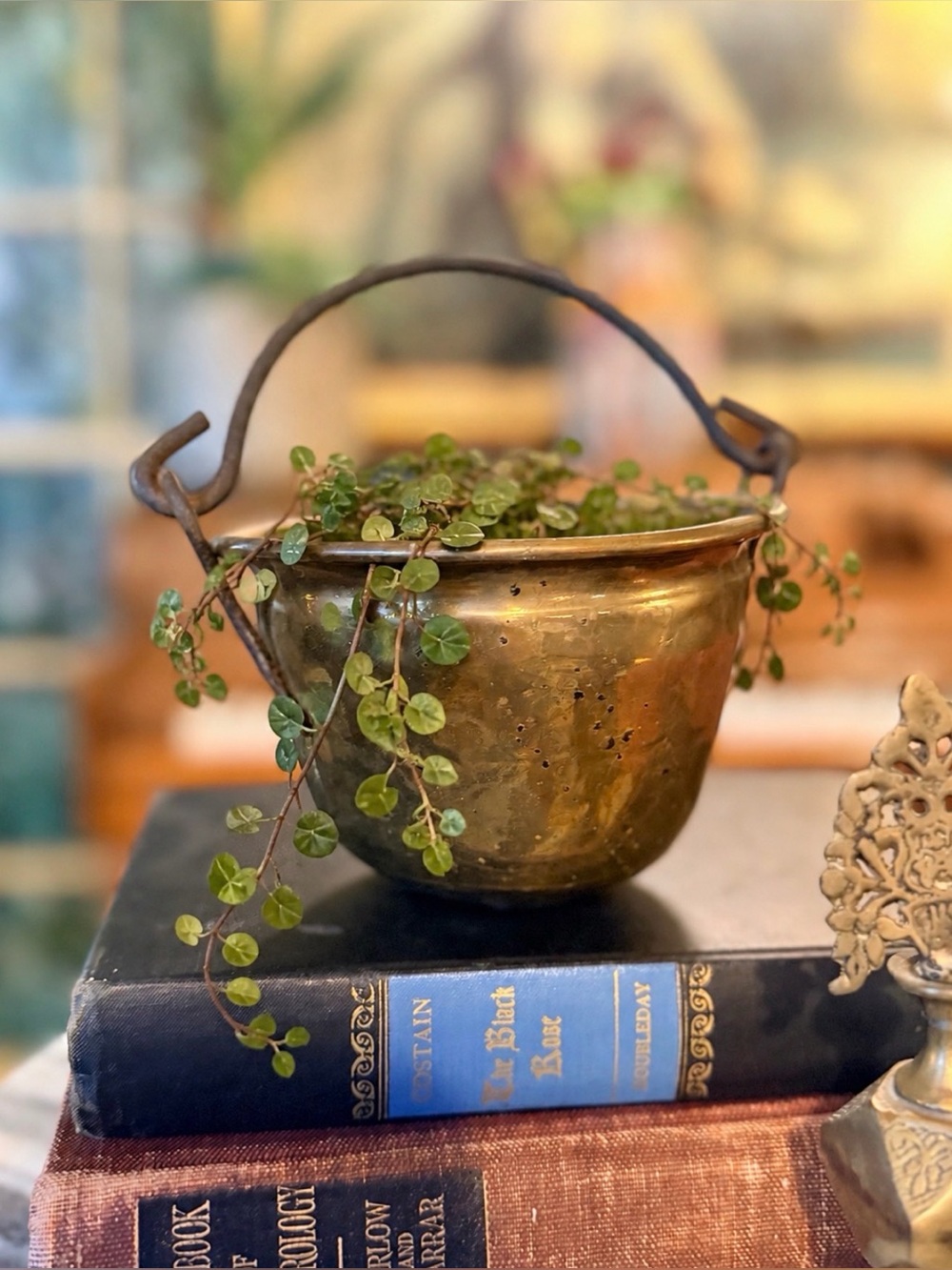 Antique Brass Hanging Planter with Rustic Handle - Brass